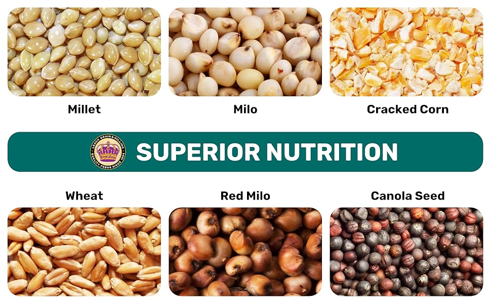 Wild Bird Seed, Wild Bird Food, Bird Seed Outside Feeders LEACH GRAIN & MILLING CO.