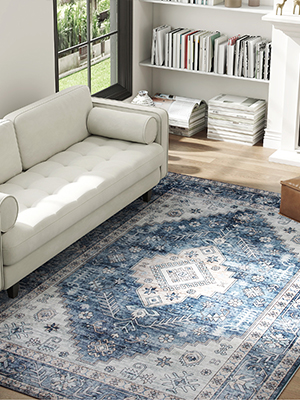 cion indoor outdoor playroom neutral aesthetic tapetes sala bedside persian mat throw parlor lounge