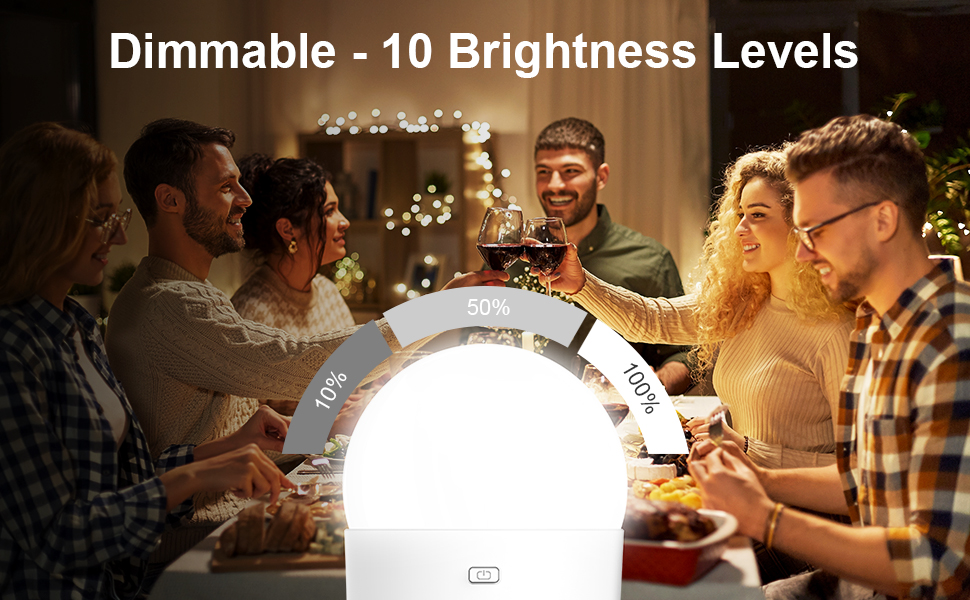 dimmable light bulbs