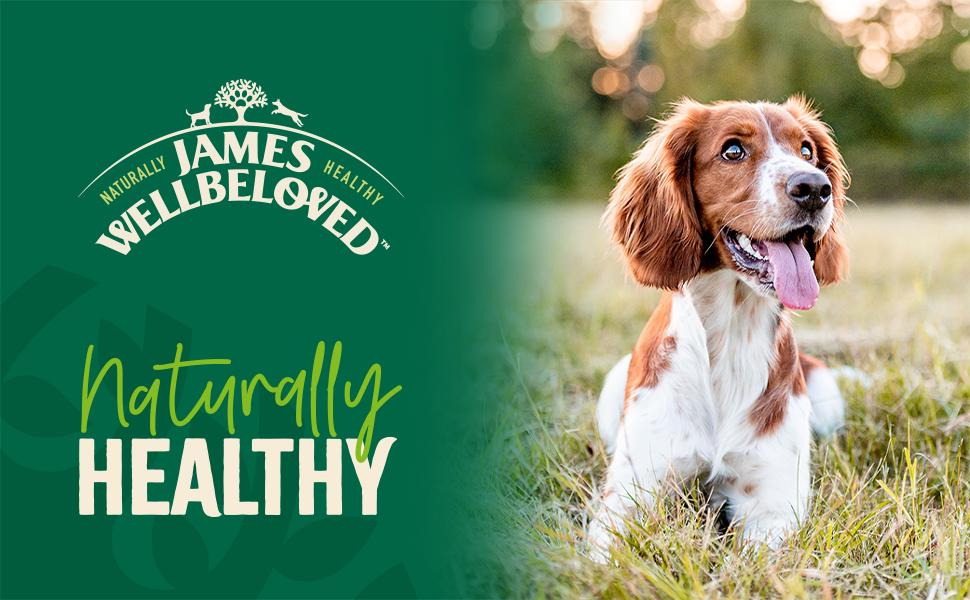 Der Text lautet „JAMES WELLBELOVED“ und „Naturally HEALTHY“. Marketingbild, das einen braunen und weißen Hund im Freien in einer sonnenbeschienenen natürlichen Umgebung zeigt.