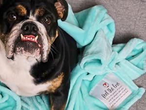 From Our Family to Yours, With Love