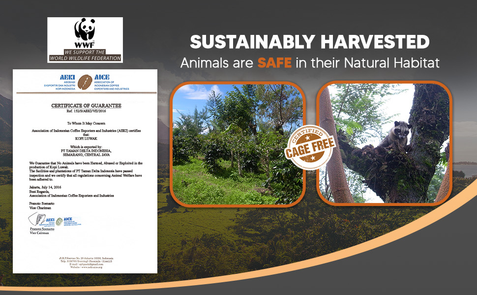 Large manufacture image 6