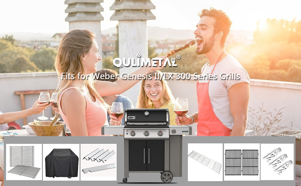 QuliMetal 66040 Grill Heat Deflector for er Genesis II