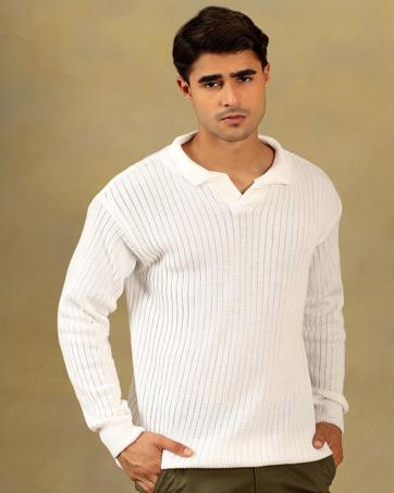 Men Polo Sweater