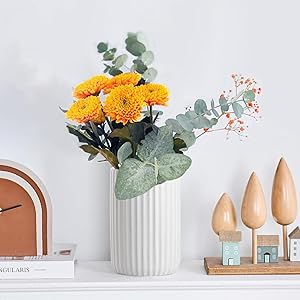 toothbrush organizer countertop toothbrush holders set toothpaste holder toothbrush cup