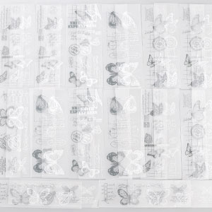 Translucent Butterfly Scrapbook Supplies