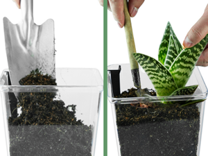 Indoor Plant Pot