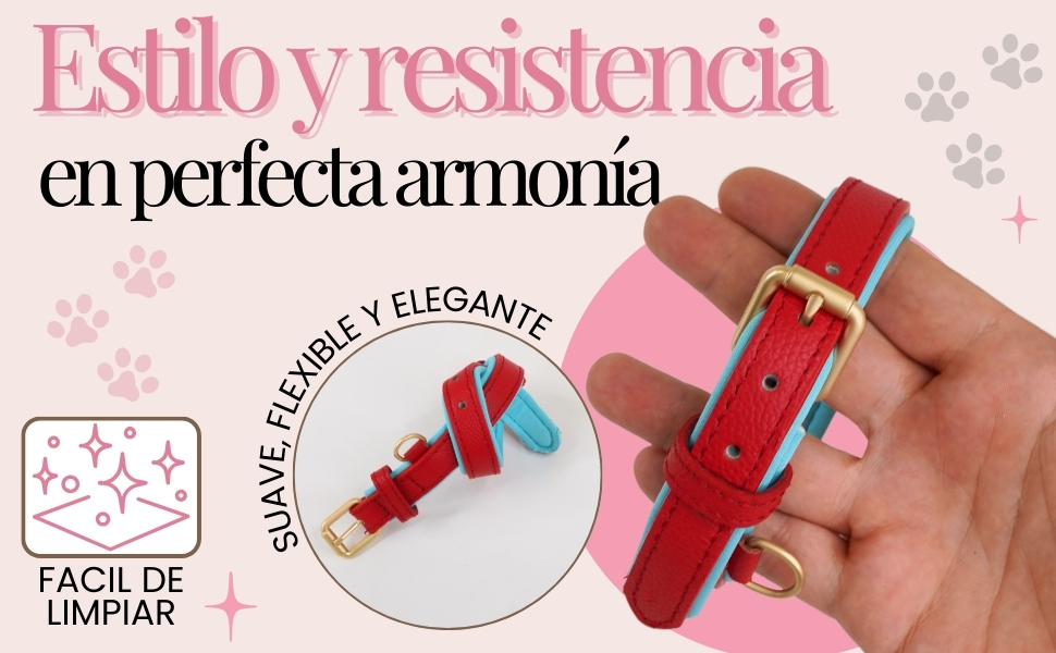 los mejores collares de perro para tu