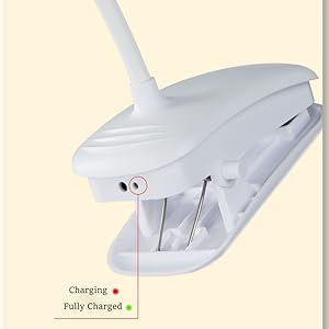 Charge indicator