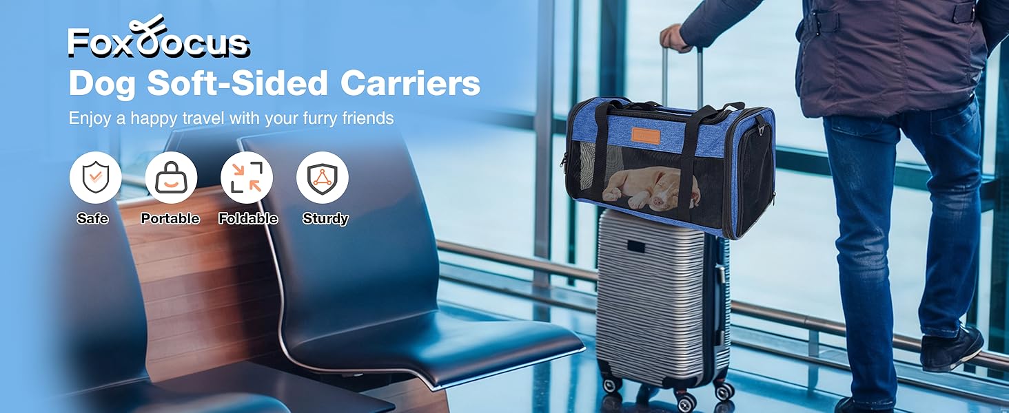 airline approved dog carrier