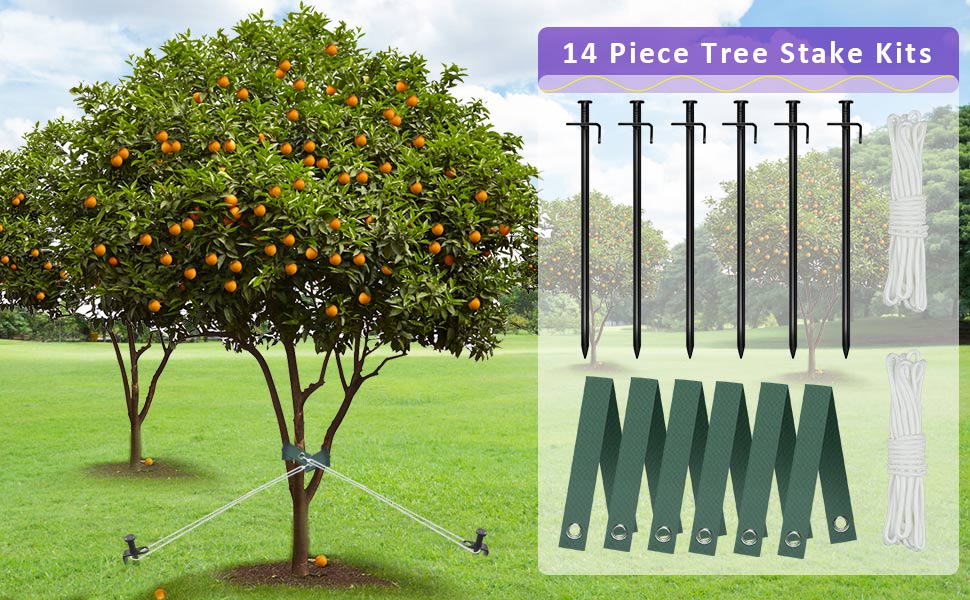 Heavy Duty Steel Tree Support Kit, Tree Stake Kit for