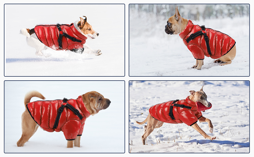 Woiil Dog Winter Jacket, Large Dog Coat Waterproof with Harness Dog
