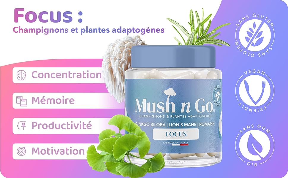 lions mane cordyceps lion's mane nootropique criniere de lion chaga bio ahcc mucuna pruriens