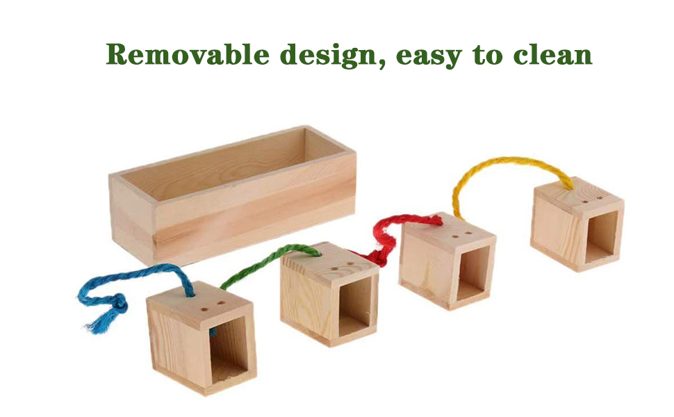 Bird foraging box