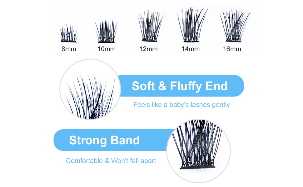 lash clusters