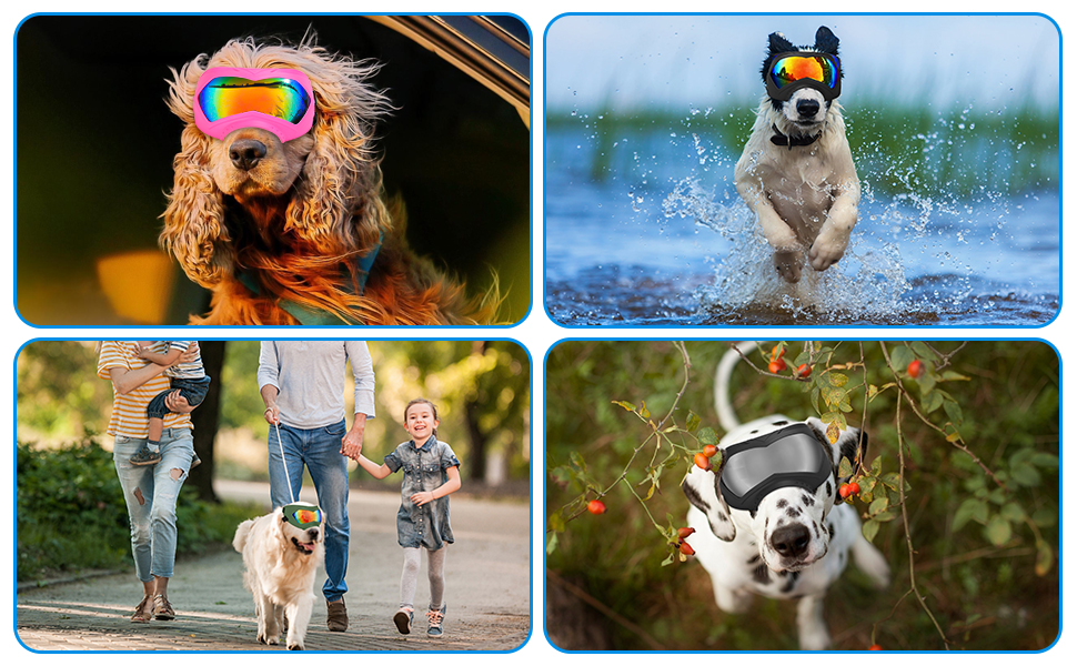 Suitable for All Face Types - For Medium, Large Dogs