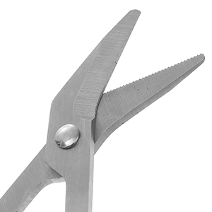nail scissors for toenails