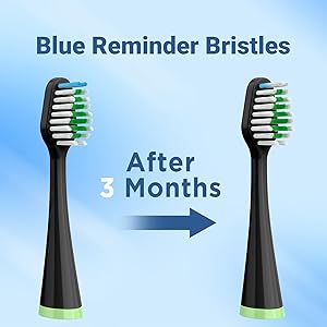aquasonic duo replacement toothbrush heads