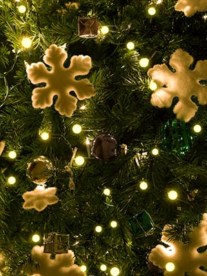 decrotion lights