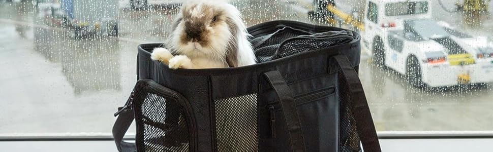 rabbit carrier travel