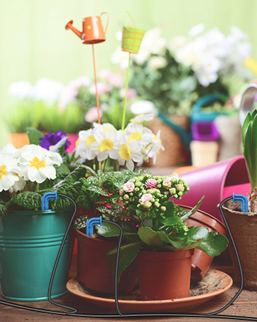 Your Good Plant Butler