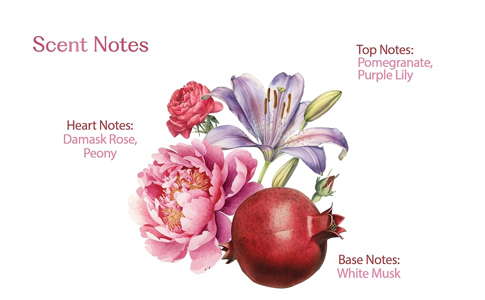 Scent Notes