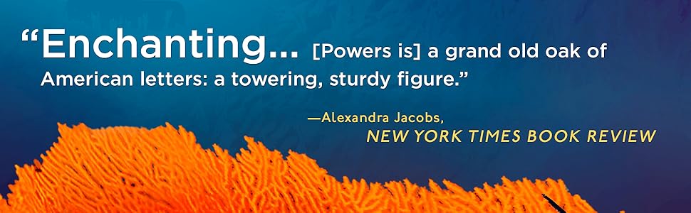 New York Times Book Review blurb &#34;Enchanting&#34; on blue background above orange corla