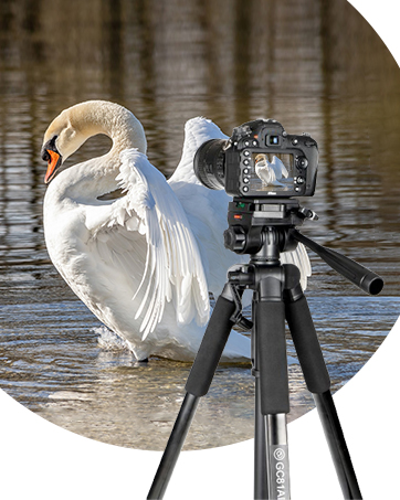 CAMERA TRIPOD