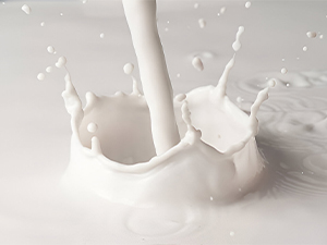 milk protein, Milk 