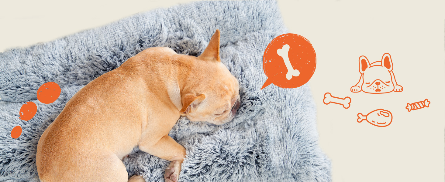 calming dog bed