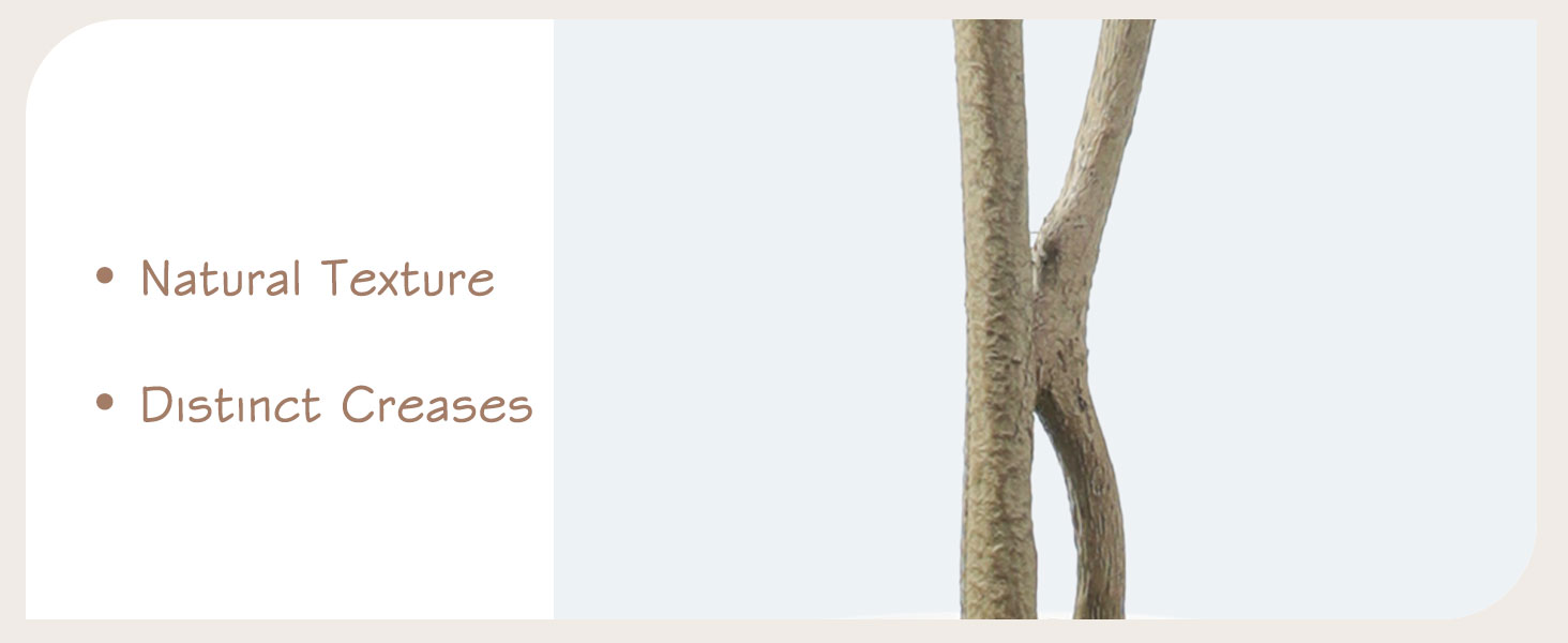 Realistic Citrus Tree