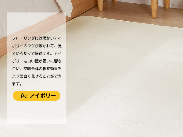 ラグ・カーペット minx2 9525910000005_01.jpg