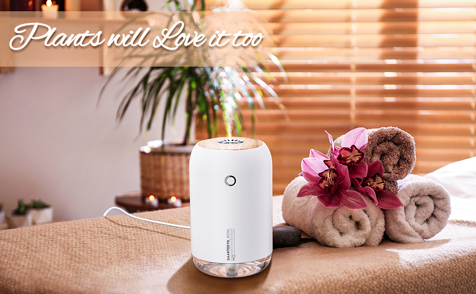 SmartDevil Portable Mini Humidifier, 500ml Small Desk Humidifier, USB Personal Desktop