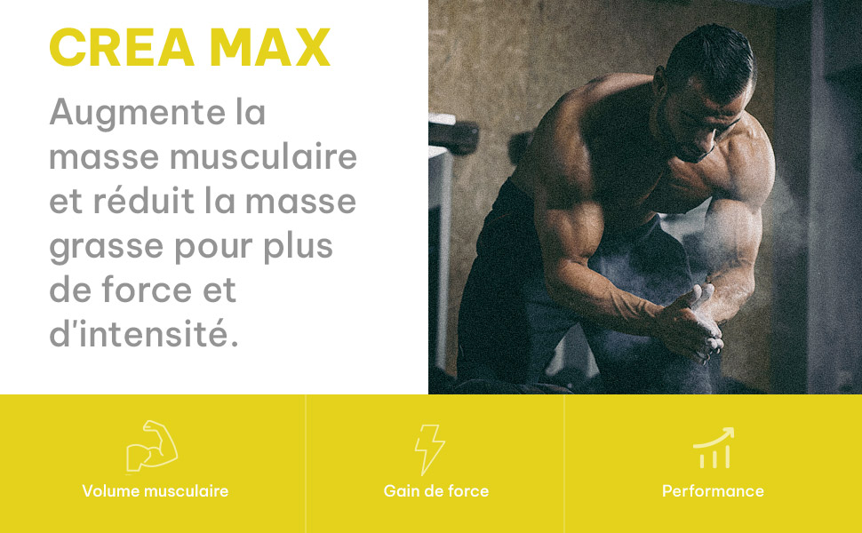 creatine monohydrate masse musculaire musculation sport fitness force prise de masse