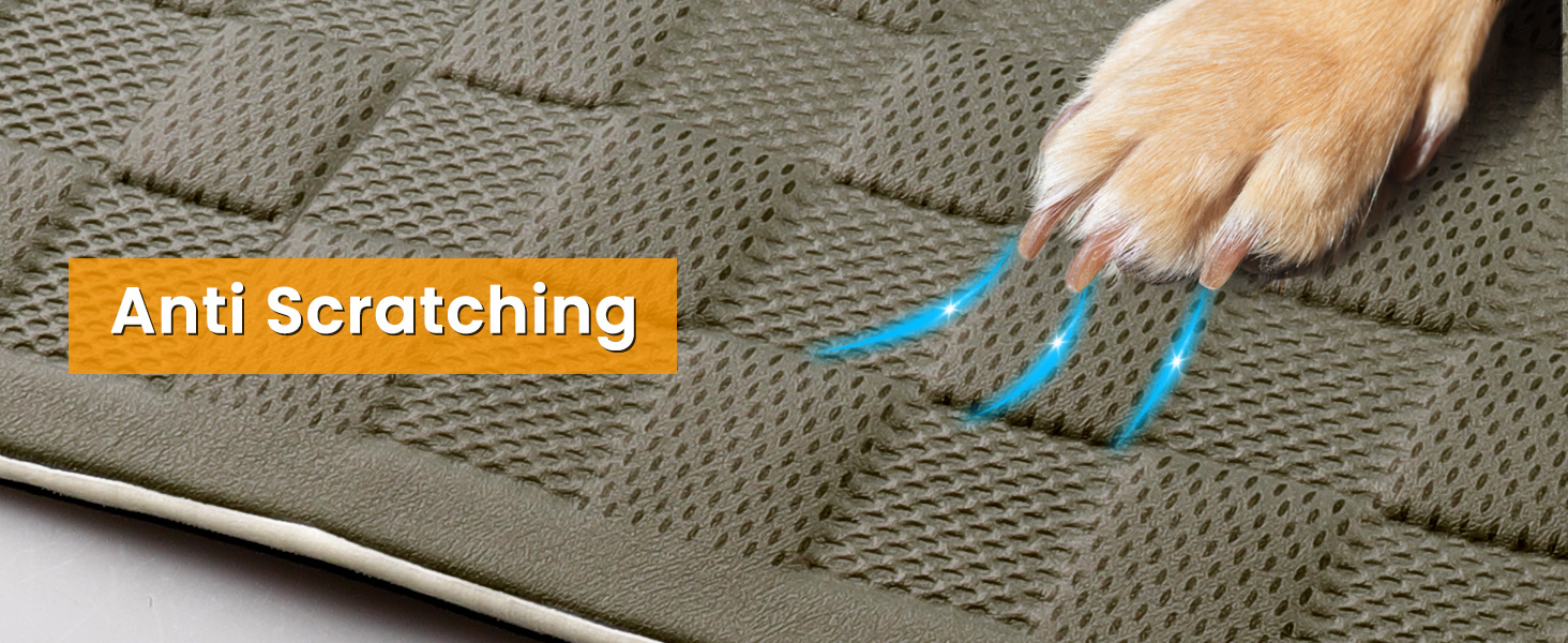 dog mat