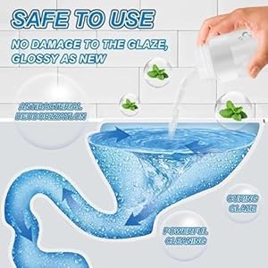 Toilet Cleaner