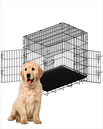 Basic Dog Crates