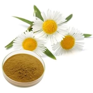 face cream for dry skin