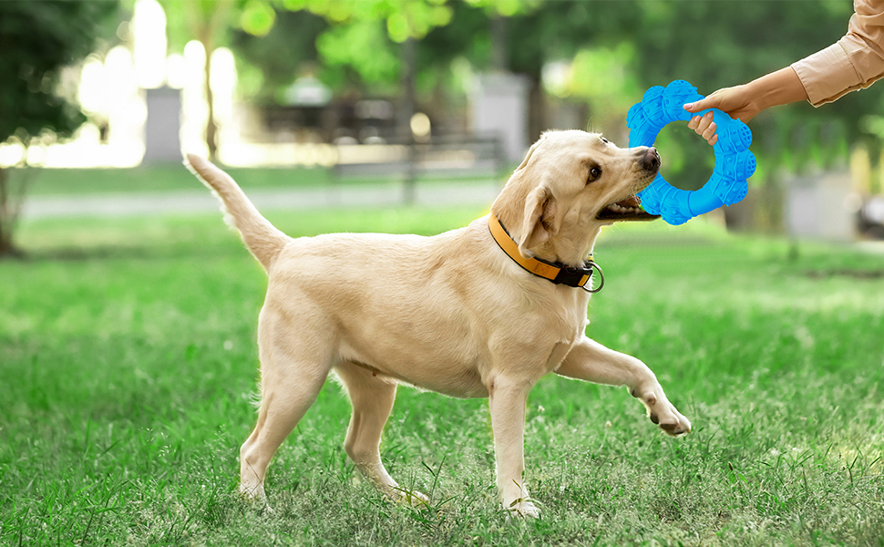 Dog toys interactive for boredom
