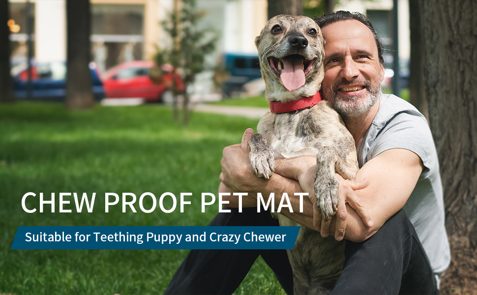 BALAPET Chew Proof Dog Bed with Metal Rivet Corner for Large Dogs, Stable Kennel