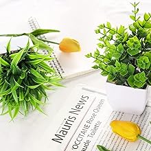 ARTIFICIAL PLANT