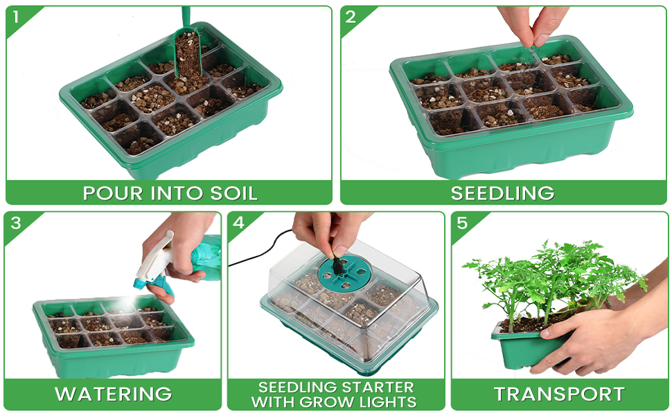 seed trays