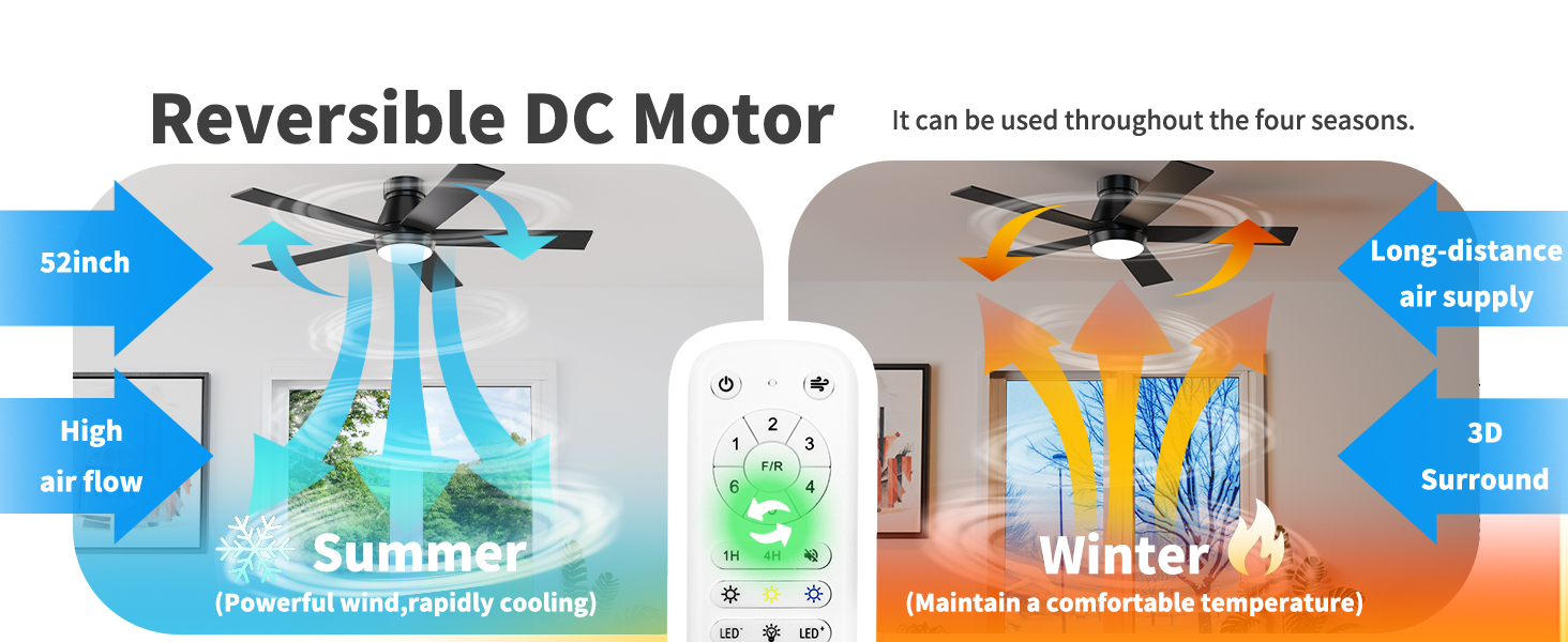 Reversible DC Motor