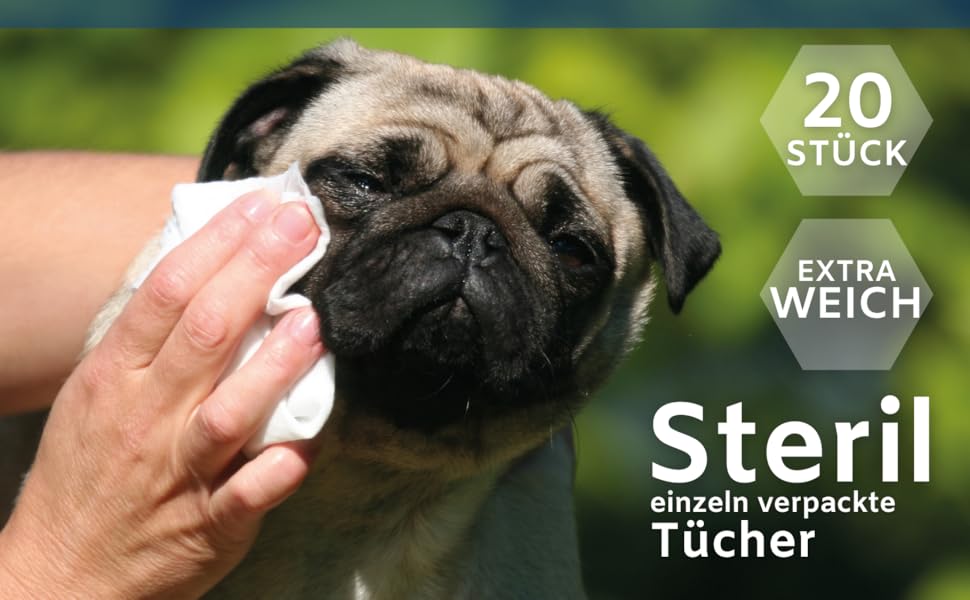 Reinigungstücher Hund Auge