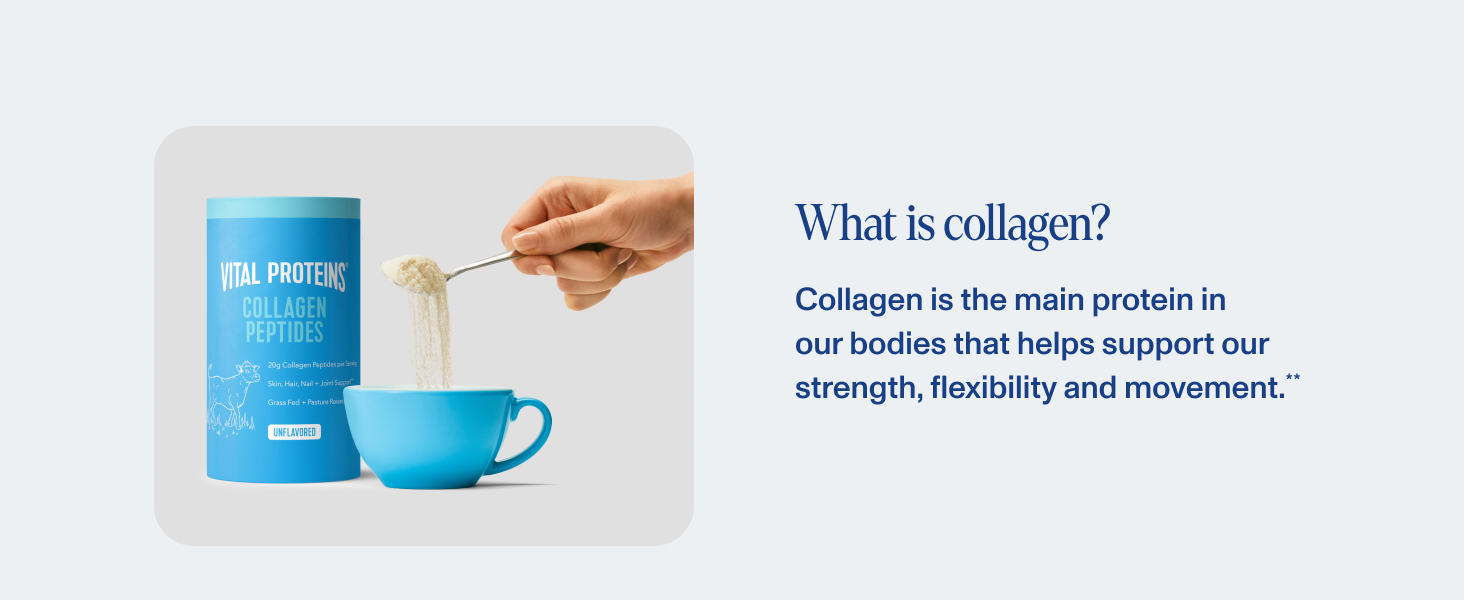 Collagen is the main protein in our bodies