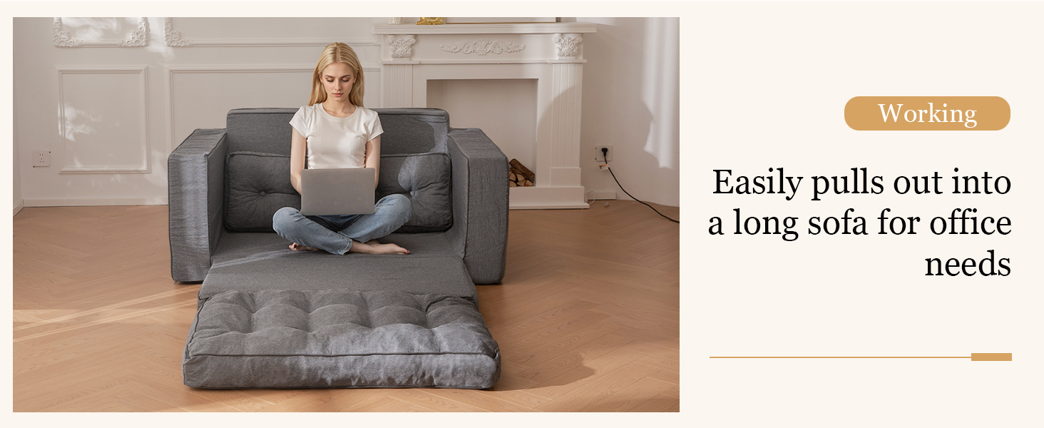 Loveseat Sleeper Sofa