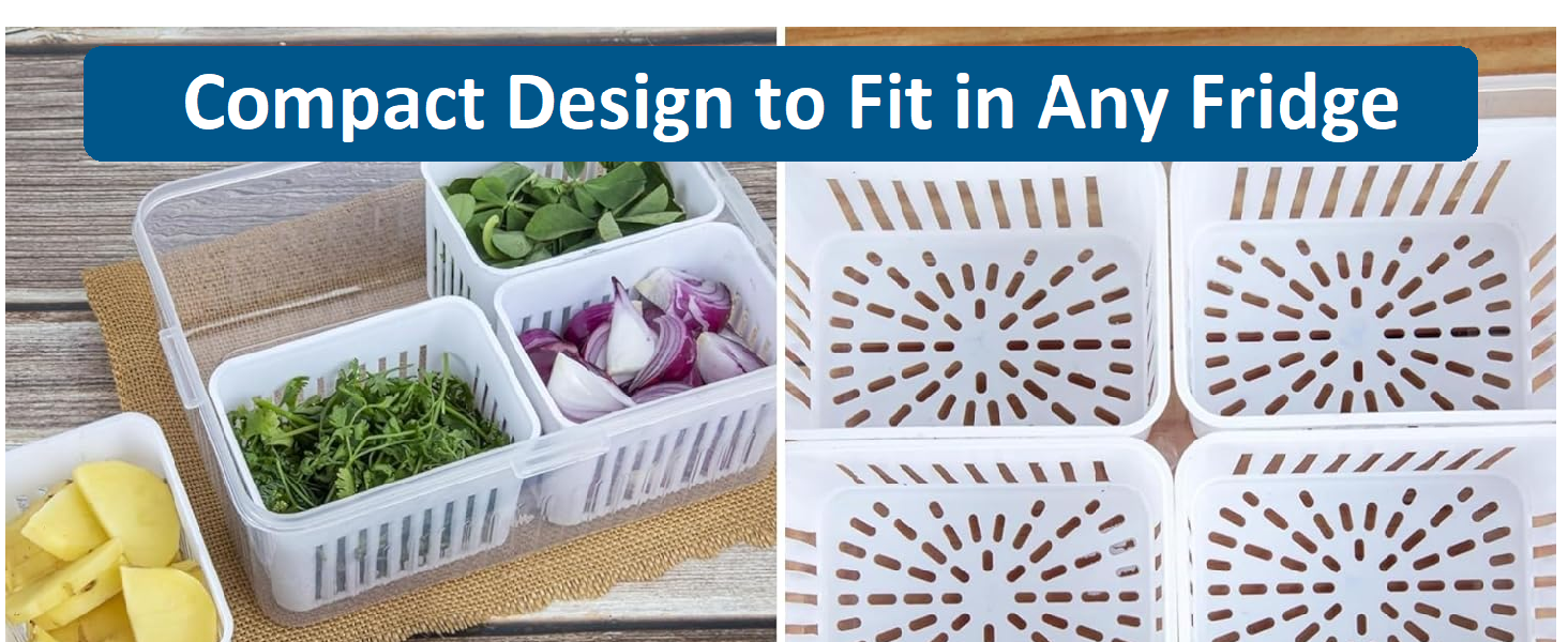 Container for Kitchen