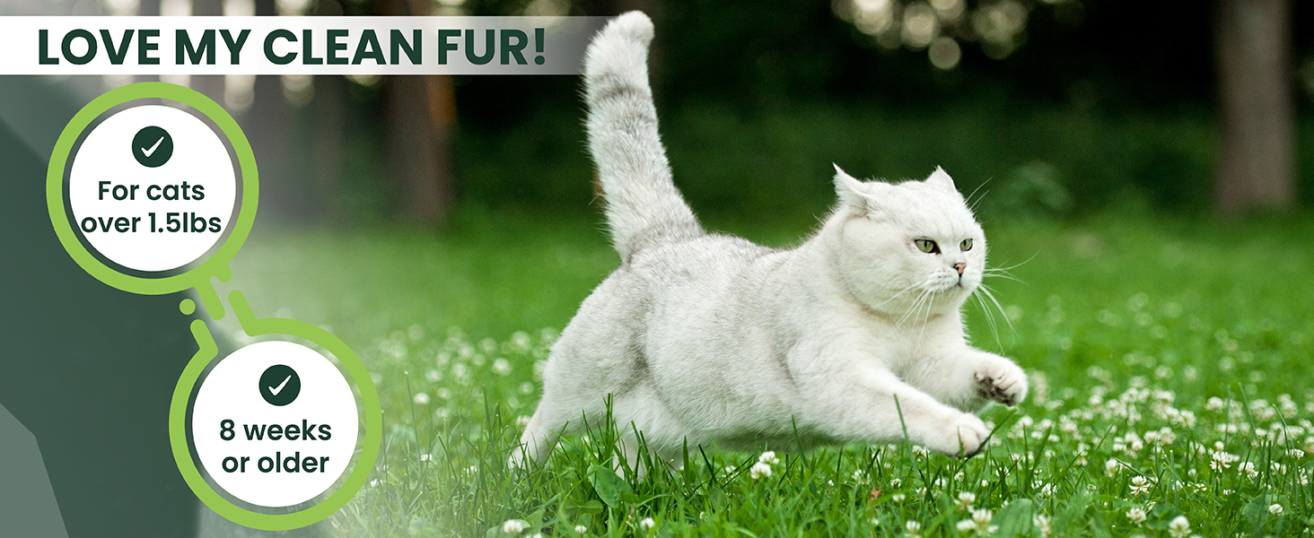 flea treatment for cats