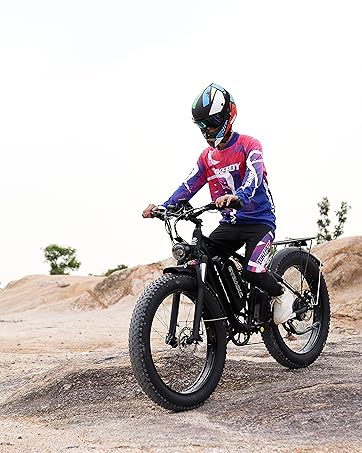 ebike