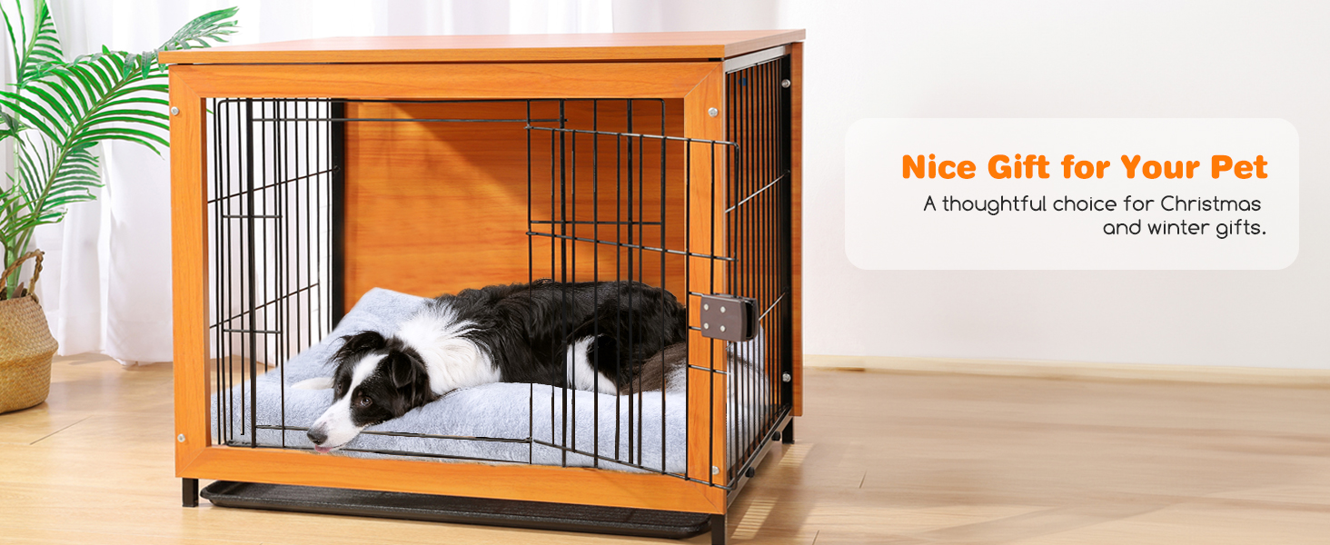dog bed